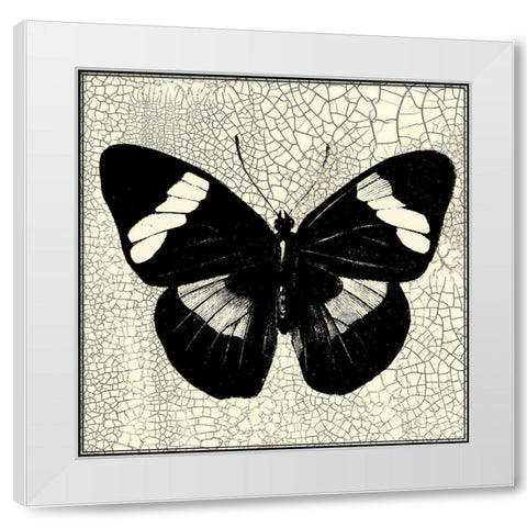 Classical Butterfly III White Modern Wood Framed Art Print by Vision Studio