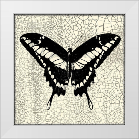 Classical Butterfly IV White Modern Wood Framed Art Print by Vision Studio