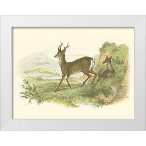 Petite Row Deer White Modern Wood Framed Art Print by Lizars, W.H.