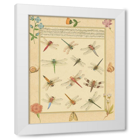 Custom Dragonfly Manuscript I (HI) White Modern Wood Framed Art Print by Prasad, Jaggu