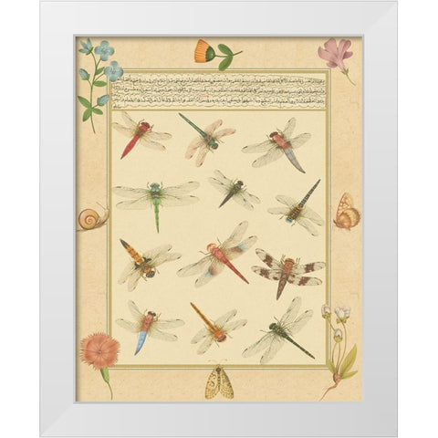 Custom Dragonfly Manuscript I (HI) White Modern Wood Framed Art Print by Prasad, Jaggu