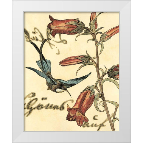 Small Hummingbird Reverie I  White Modern Wood Framed Art Print by Vision Studio