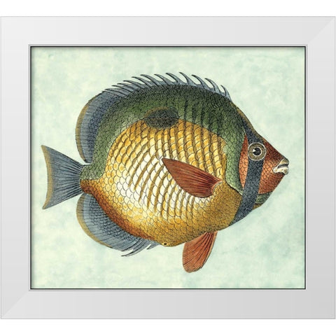 Small Butterfly Fish I White Modern Wood Framed Art Print by Vision Studio