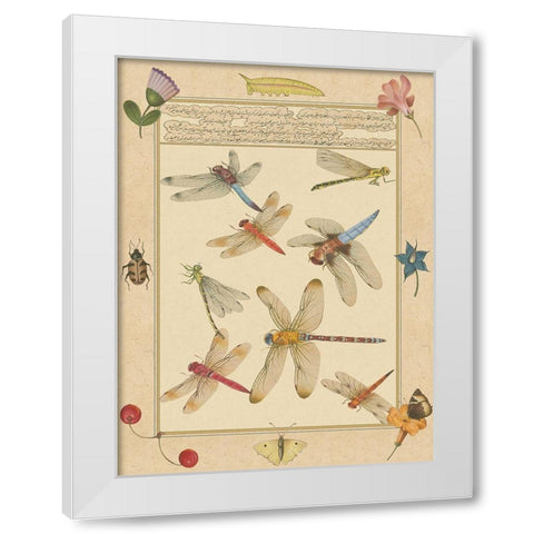 Small Dragonfly Manuscript IV (U) White Modern Wood Framed Art Print by Prasad, Jaggu