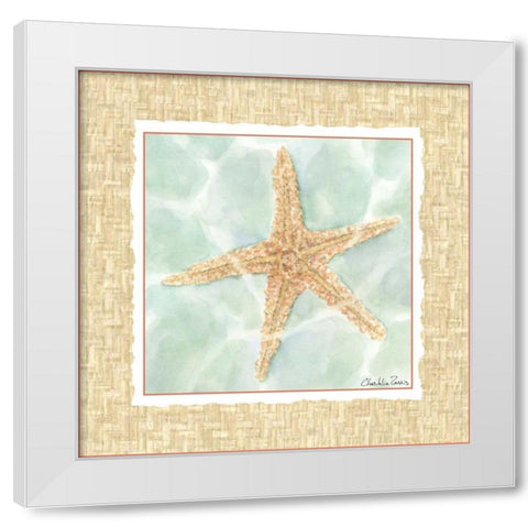 Ocean Starfish  White Modern Wood Framed Art Print by Zarris, Chariklia