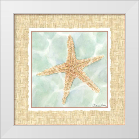 Ocean Starfish  White Modern Wood Framed Art Print by Zarris, Chariklia