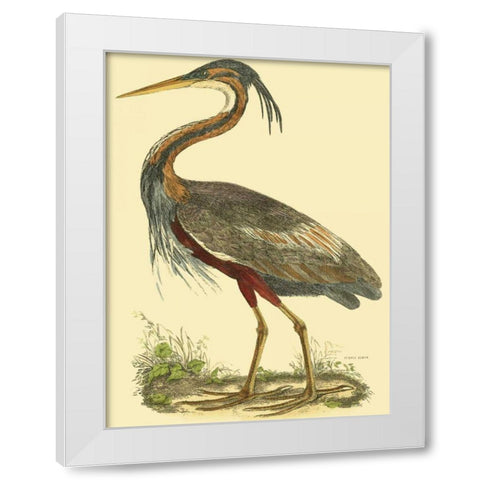 Small Purple Heron White Modern Wood Framed Art Print by Selby, John