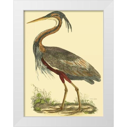 Small Purple Heron White Modern Wood Framed Art Print by Selby, John