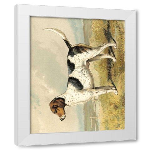 Fox Hound White Modern Wood Framed Art Print by Shaw, Vero