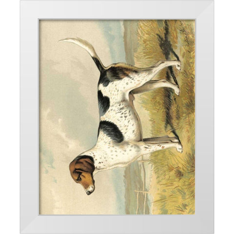 Fox Hound White Modern Wood Framed Art Print by Shaw, Vero