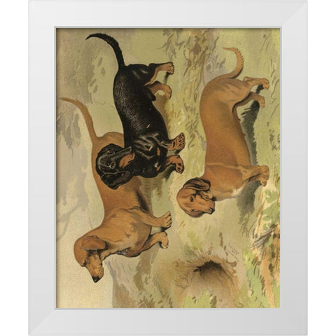Dachshunds White Modern Wood Framed Art Print by Shaw, Vero