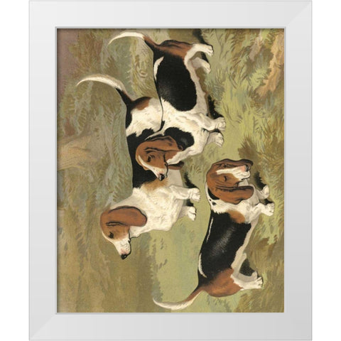 Basset Hounds White Modern Wood Framed Art Print by Shaw, Vero