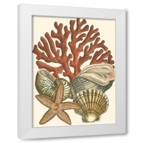 Small Coral Medley I White Modern Wood Framed Art Print by Vision Studio