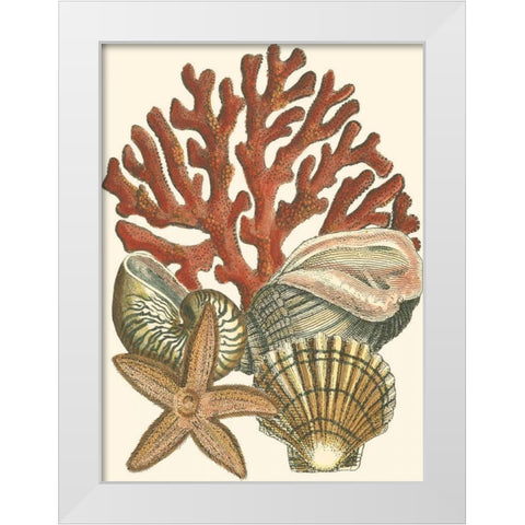 Small Coral Medley I White Modern Wood Framed Art Print by Vision Studio