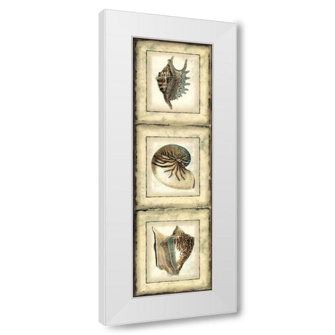 Mini Rustic Shell Panel II White Modern Wood Framed Art Print by Vision Studio