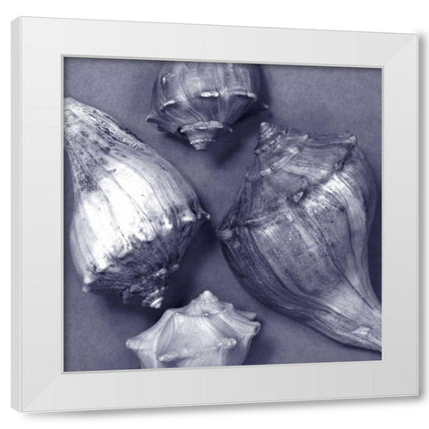 Shell Convergence III White Modern Wood Framed Art Print by Stramel, Renee W.