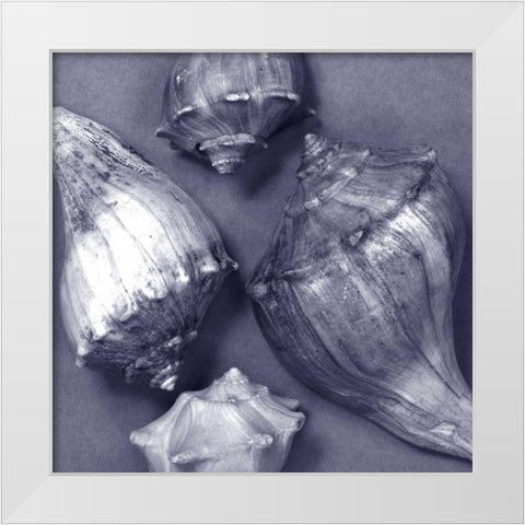 Shell Convergence III White Modern Wood Framed Art Print by Stramel, Renee W.