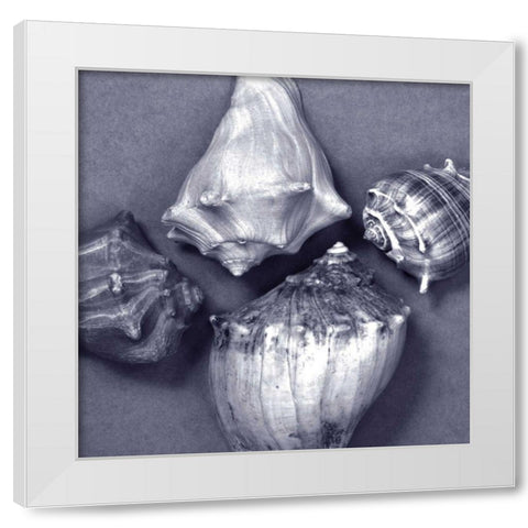Shell Convergence V White Modern Wood Framed Art Print by Stramel, Renee W.