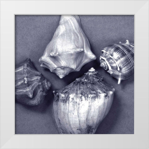 Shell Convergence V White Modern Wood Framed Art Print by Stramel, Renee W.