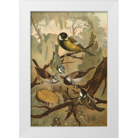 Titmice White Modern Wood Framed Art Print by unknown
