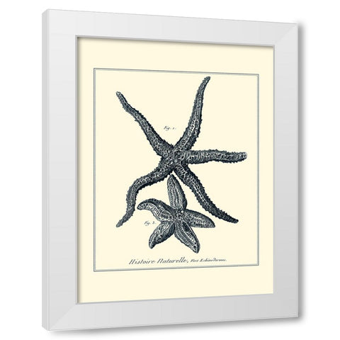 Indigo Starfish I White Modern Wood Framed Art Print by Diderot, Denis