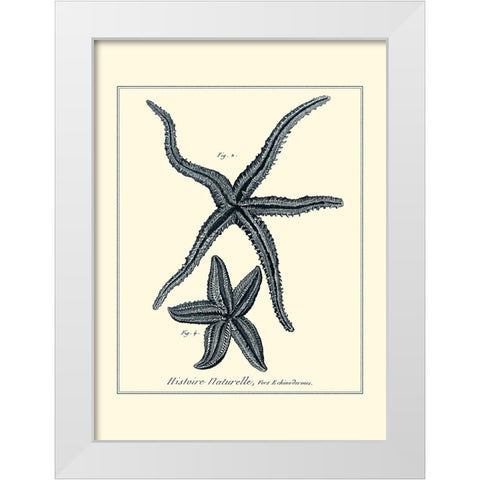 Indigo Starfish II White Modern Wood Framed Art Print by Diderot, Denis