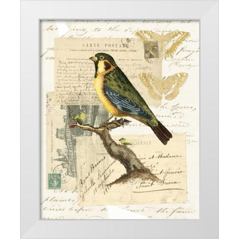 Naturalists Collage III White Modern Wood Framed Art Print by Vision Studio