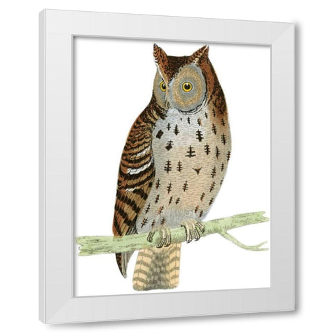 Morris Mottled Owl White Modern Wood Framed Art Print by Morris