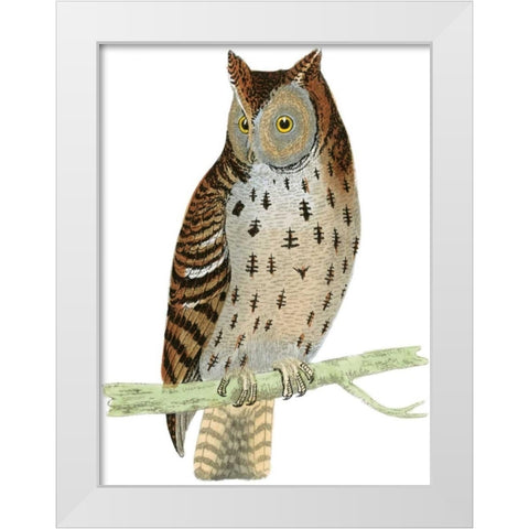 Morris Mottled Owl White Modern Wood Framed Art Print by Morris