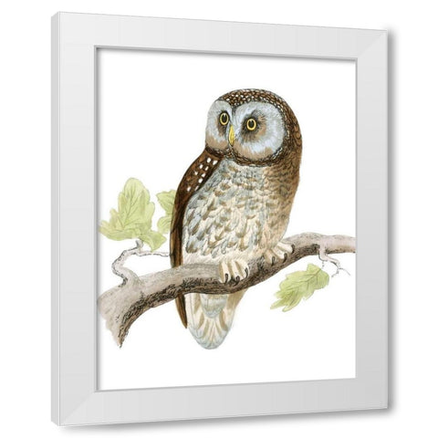 Morris Tengmalms Owl White Modern Wood Framed Art Print by Morris