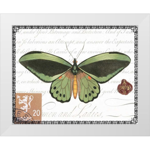 Butterfly Prose II White Modern Wood Framed Art Print by Vision Studio