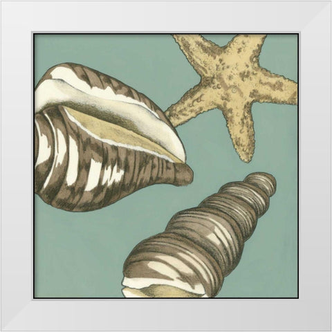 Small Shell Trio on Blue I White Modern Wood Framed Art Print by Meagher, Megan