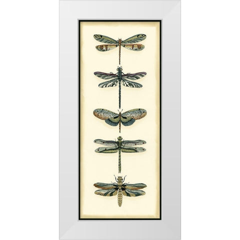 Small Dragonfly Collector II White Modern Wood Framed Art Print by Zarris, Chariklia