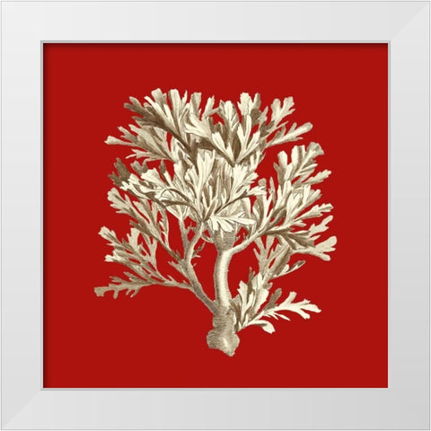 Small Coral on Red IV White Modern Wood Framed Art Print by Vision Studio