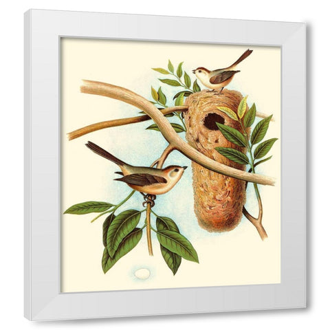 Feathering Nest I White Modern Wood Framed Art Print by Unknown