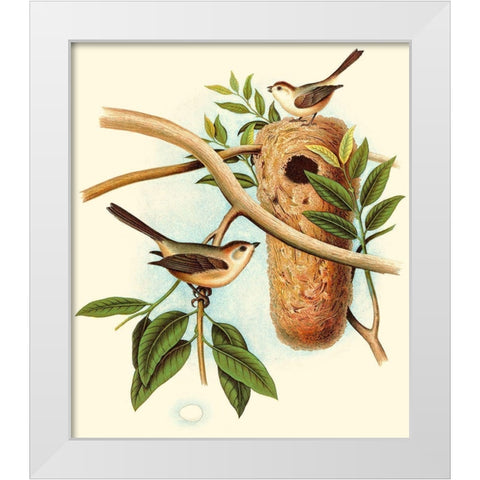 Feathering Nest I White Modern Wood Framed Art Print by Unknown