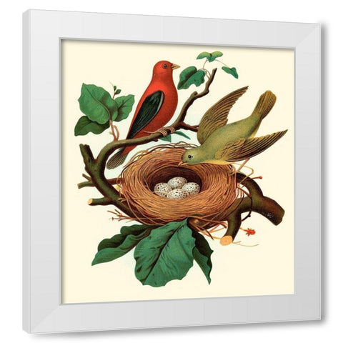 Feathering Nest II White Modern Wood Framed Art Print by Unknown