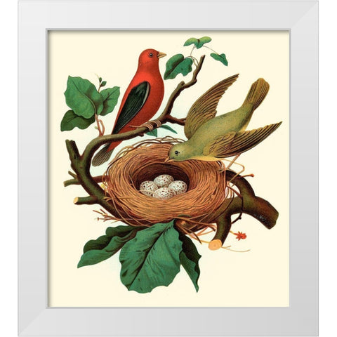 Feathering Nest II White Modern Wood Framed Art Print by Unknown
