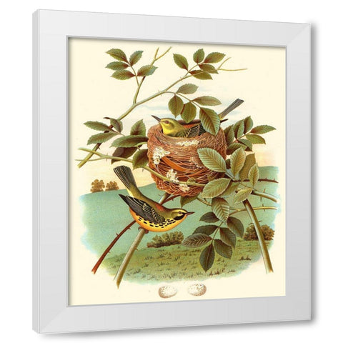 Feathering Nest IV White Modern Wood Framed Art Print by Unknown
