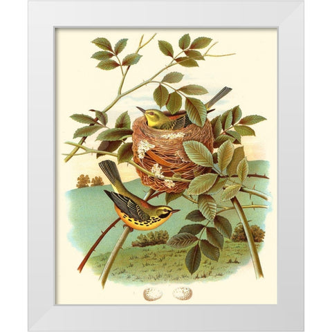 Feathering Nest IV White Modern Wood Framed Art Print by Unknown