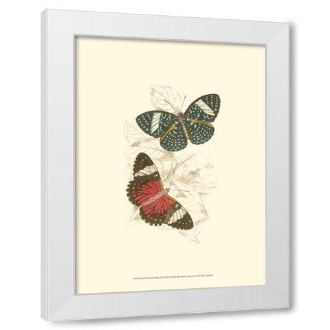 Jardine Butterflies I White Modern Wood Framed Art Print by Jardine, Sir William
