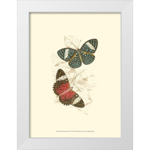 Jardine Butterflies I White Modern Wood Framed Art Print by Jardine, Sir William