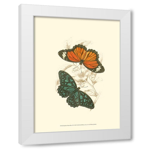 Jardine Butterflies II White Modern Wood Framed Art Print by Jardine, Sir William