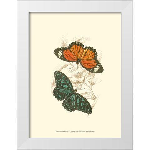Jardine Butterflies II White Modern Wood Framed Art Print by Jardine, Sir William
