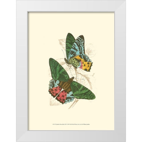 Jardine Butterflies III White Modern Wood Framed Art Print by Jardine, Sir William