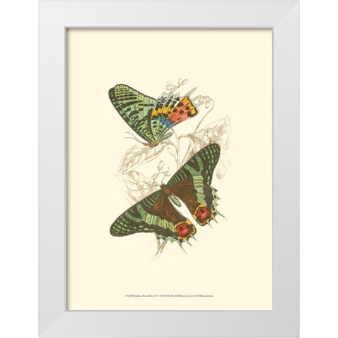 Jardine Butterflies IV White Modern Wood Framed Art Print by Jardine, Sir William