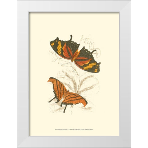 Jardine Butterflies V White Modern Wood Framed Art Print by Jardine, Sir William