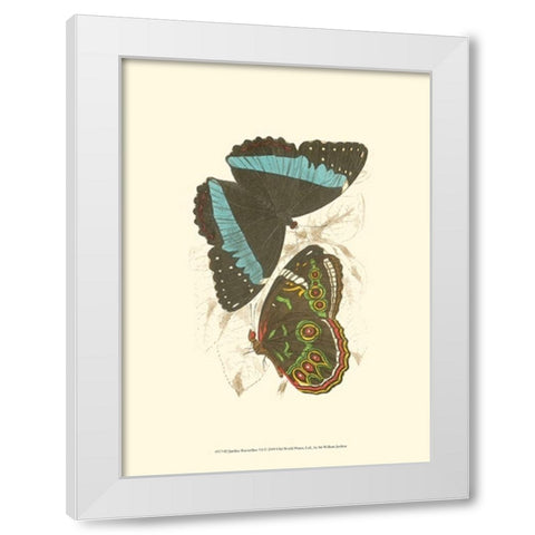 Jardine Butterflies VI White Modern Wood Framed Art Print by Jardine, Sir William