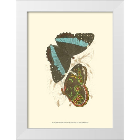 Jardine Butterflies VI White Modern Wood Framed Art Print by Jardine, Sir William