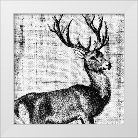 Northwest Territory I White Modern Wood Framed Art Print by Vision Studio